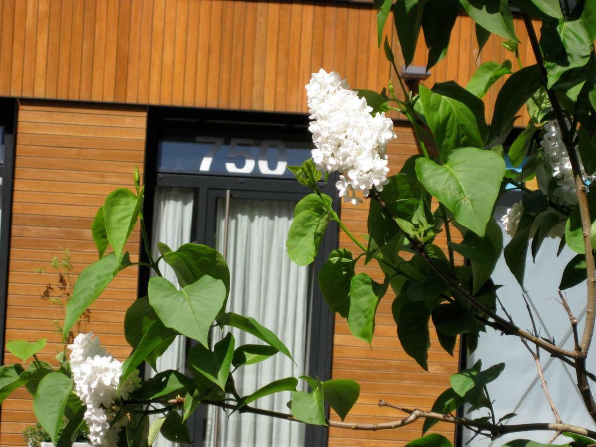 Studio-Apartment In City-Center Amsterdam Exterior photo